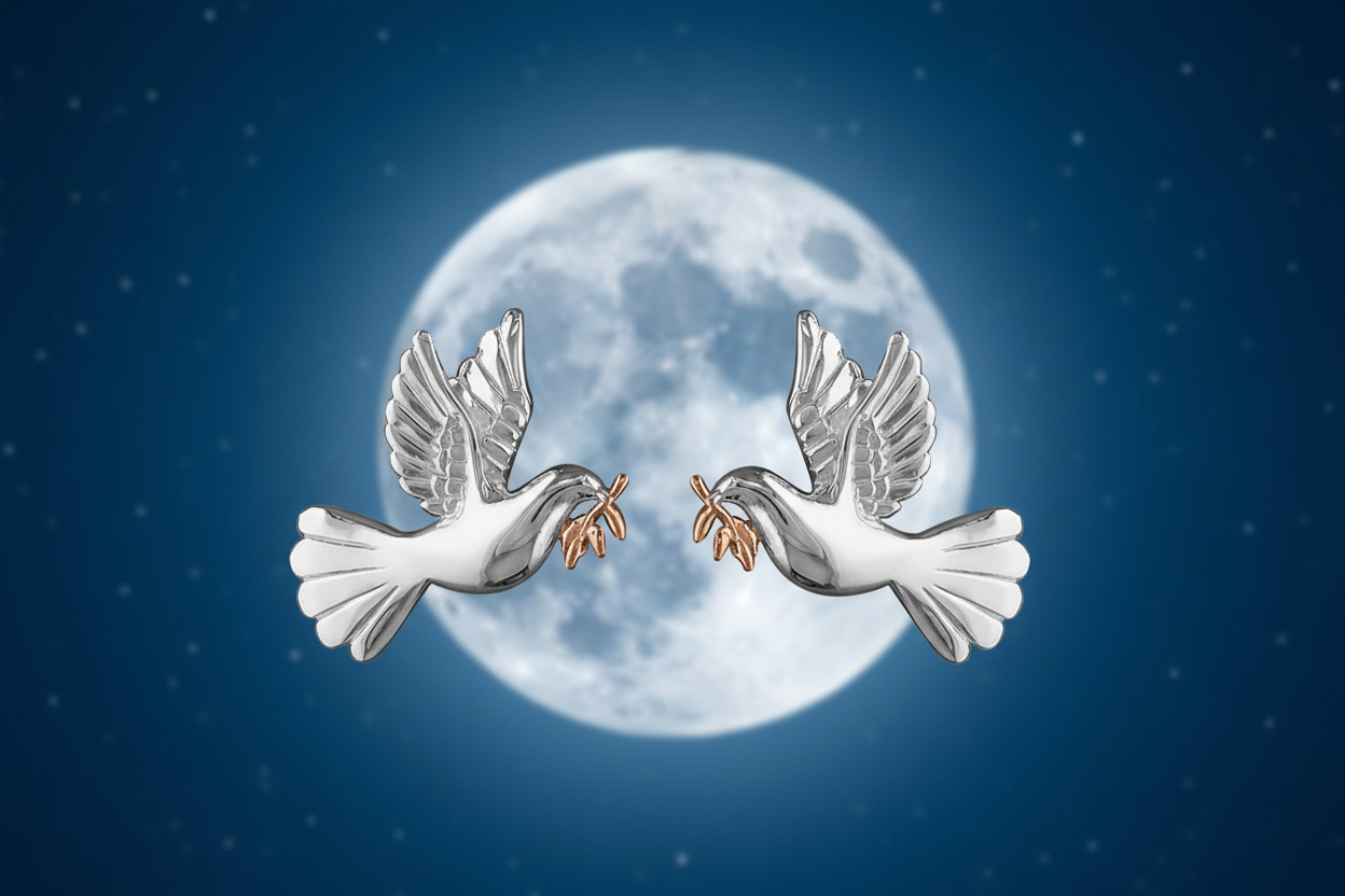 Silver Dove Earrings - Moonlit Sky